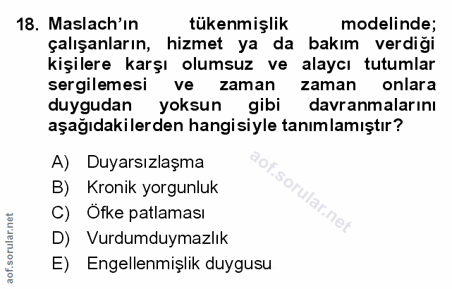 Soru 18