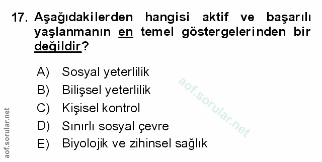 Soru 17