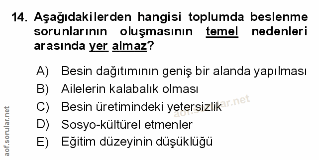 Soru 14