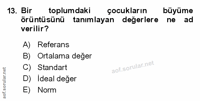 Soru 13