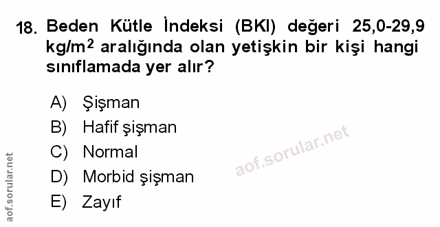 Soru 18
