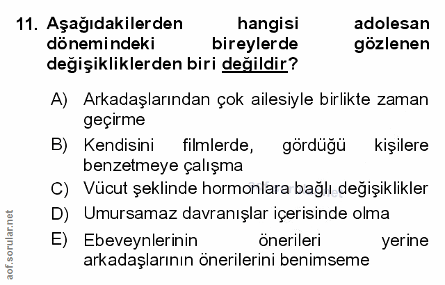 Soru 11