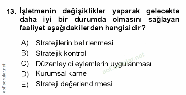 Soru 13