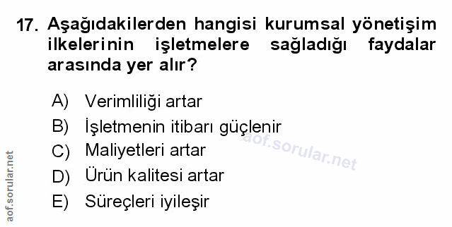 Soru 17
