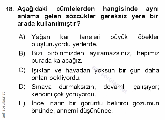 Soru 18