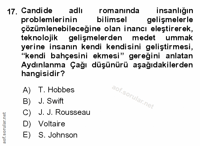 Soru 17