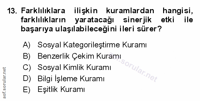 Soru 13