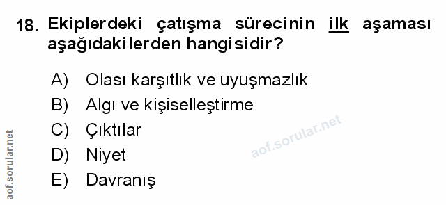 Soru 18