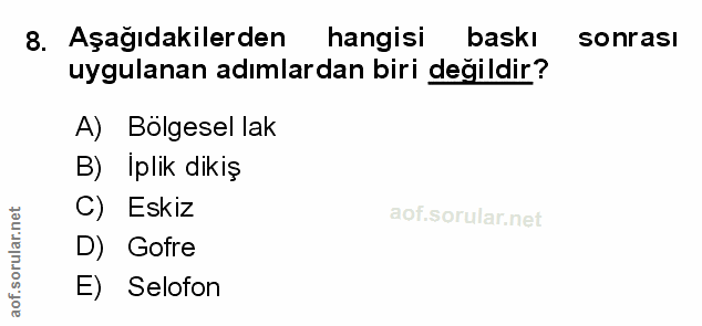 Soru 8