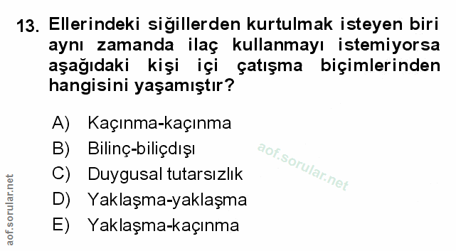 Soru 13