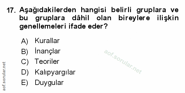 Soru 17