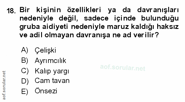 Soru 18