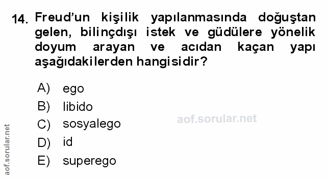 Soru 14