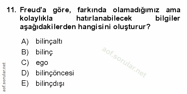 Soru 11