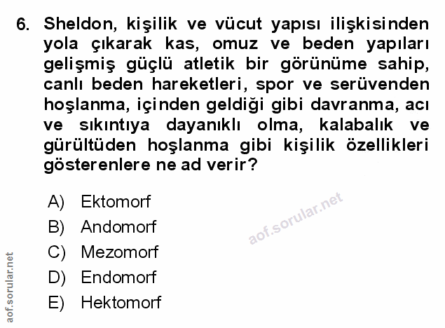 Soru 6