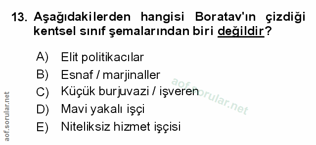 Soru 13