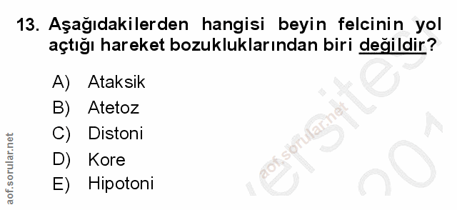 Soru 13