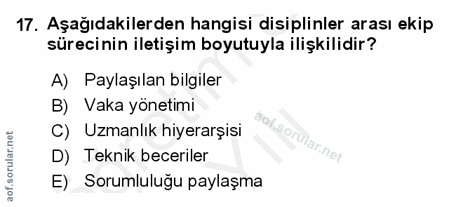 Soru 17
