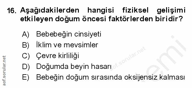 Soru 16