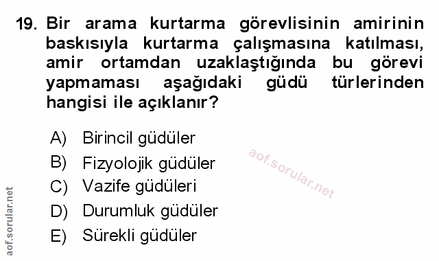 Soru 19