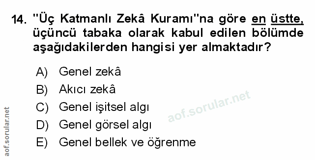 Soru 14