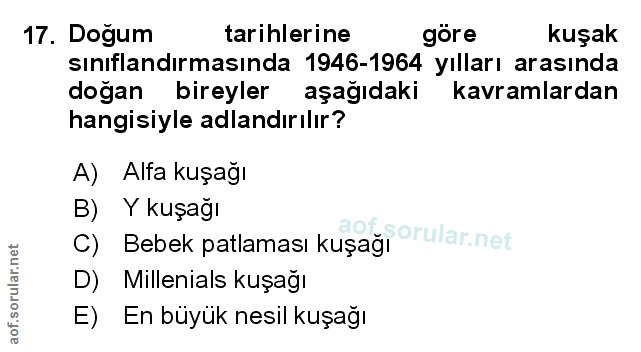 Soru 17