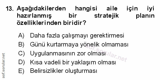 Soru 13