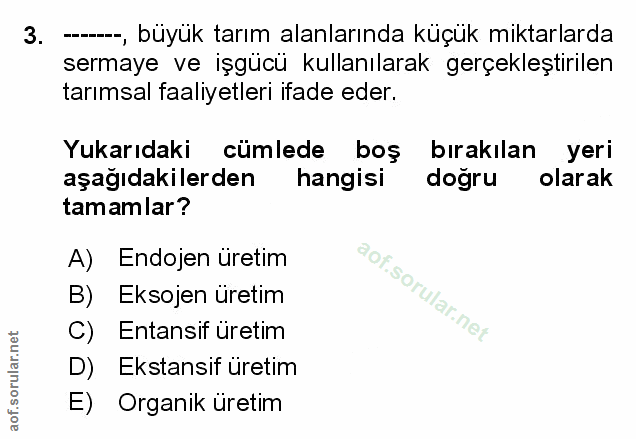 Soru 3