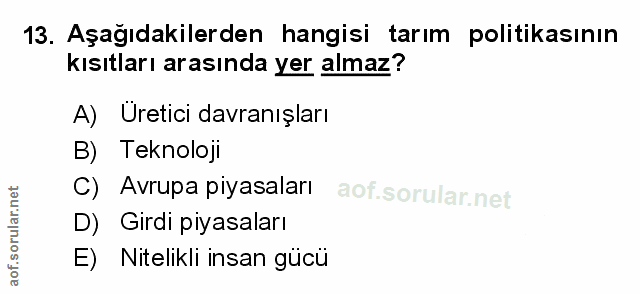 Soru 13