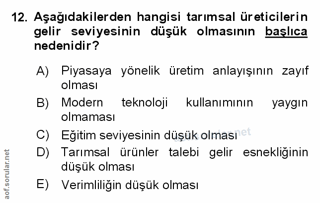 Soru 12