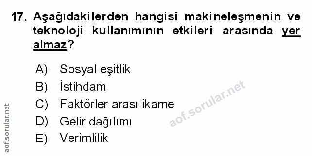 Soru 17