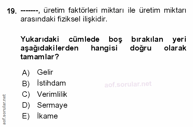 Soru 19