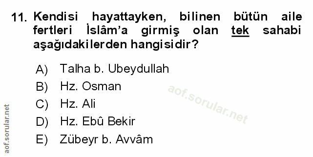 Soru 11