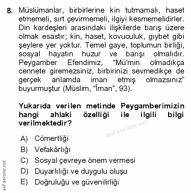 Soru 8