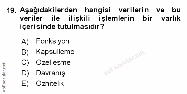 Soru 19
