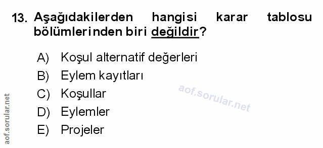Soru 13