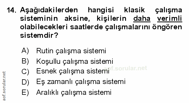 Soru 14