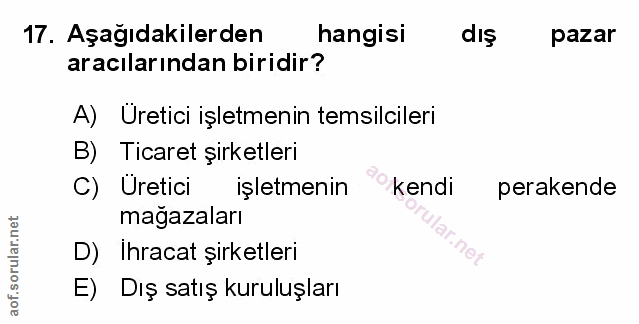 Soru 17