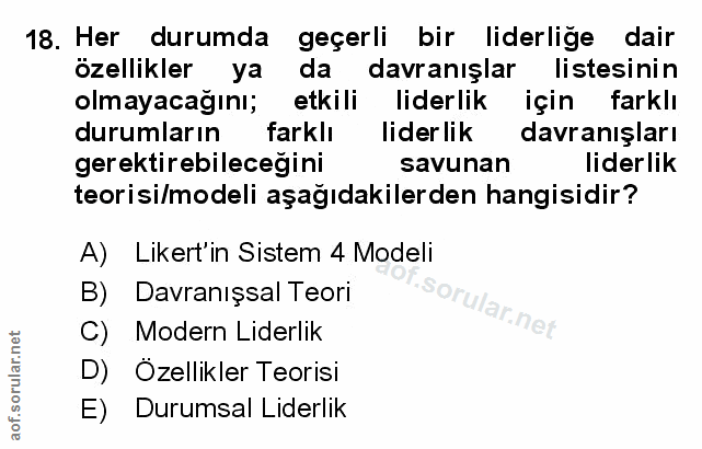 Soru 18