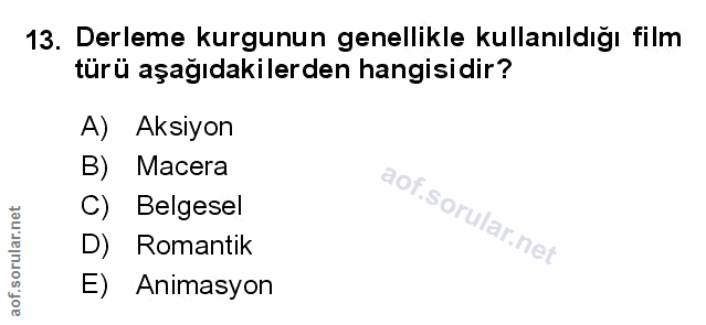 Soru 13