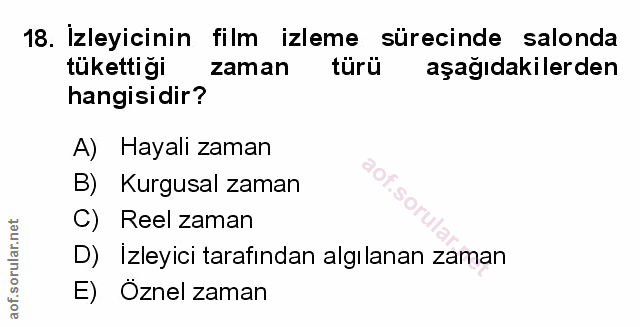 Soru 18