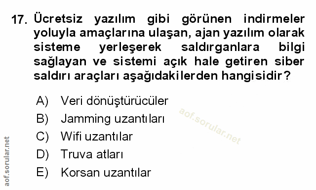Soru 17