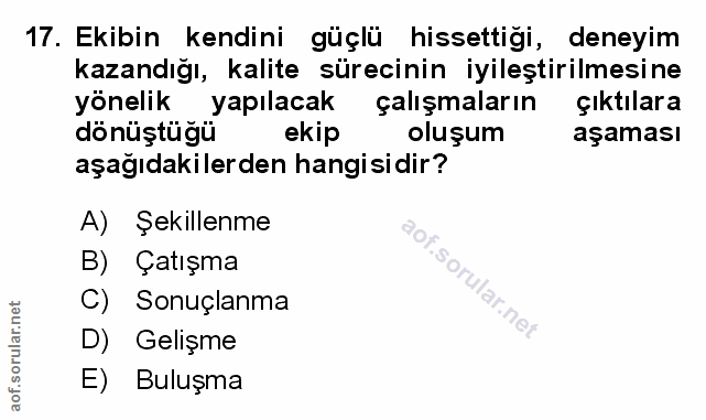Soru 17