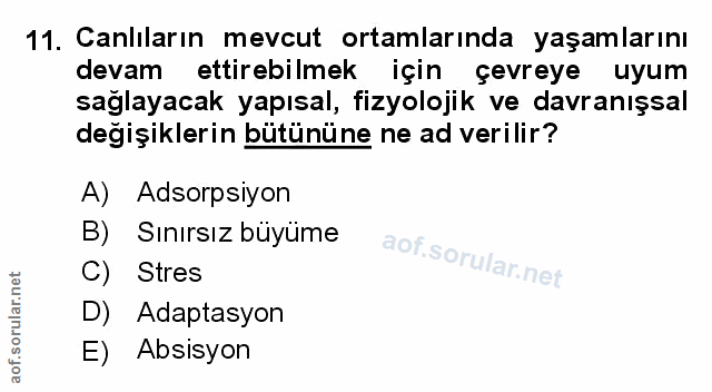 Soru 11