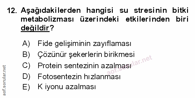 Soru 12