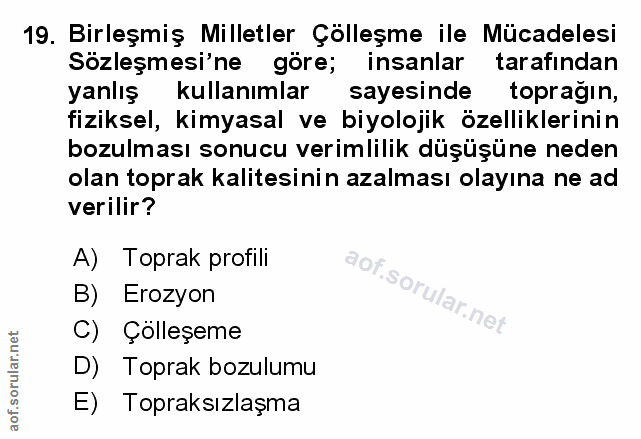 Soru 19