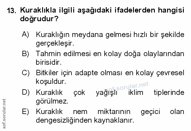 Soru 13