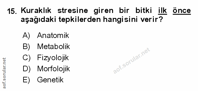 Soru 15