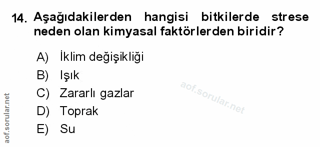 Soru 14