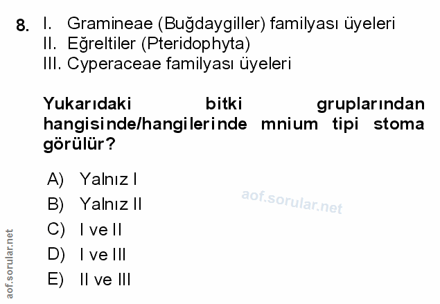 Soru 8
